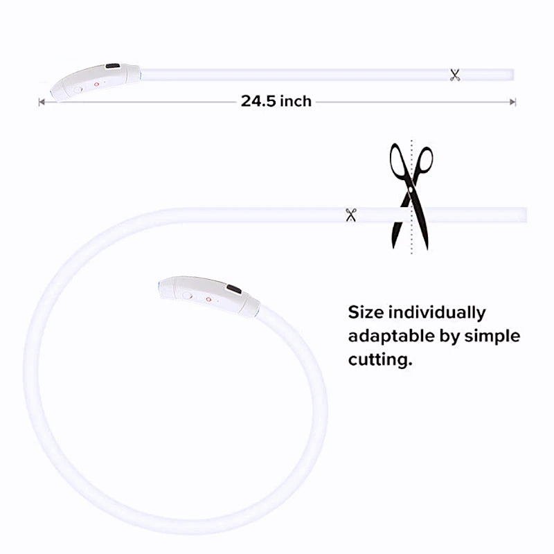 USB Rechargeable Luminous Collar