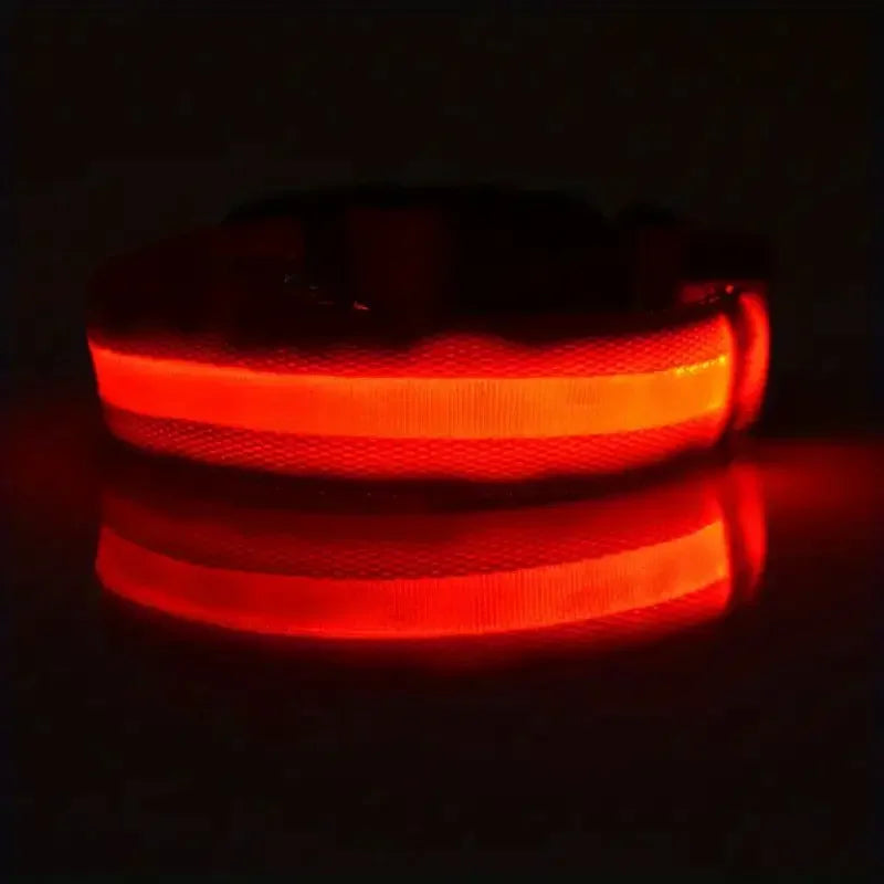 Pet Dog Collar Luminous Fluorescent