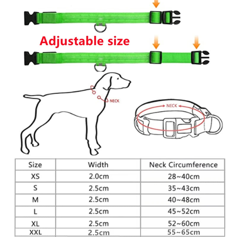 USB Rechargeable Luminous Collar