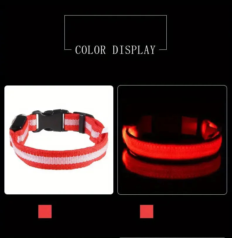 Pet Dog Collar Luminous Fluorescent