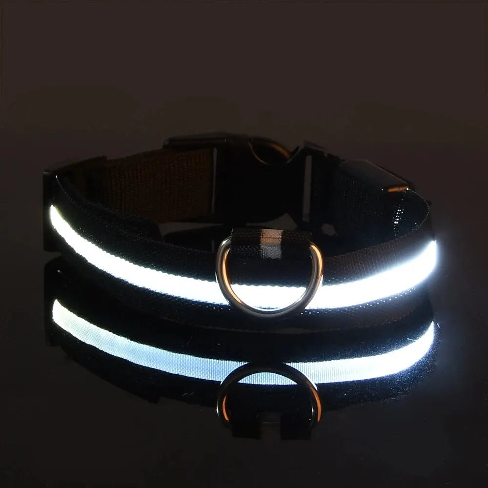 Pet Dog Collar Luminous Fluorescent