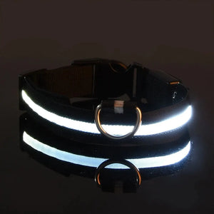 Pet Dog Collar Luminous Fluorescent