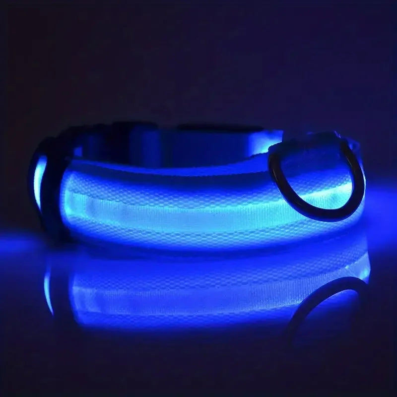 Pet Dog Collar Luminous Fluorescent