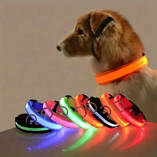Pet Dog Collar Luminous Fluorescent