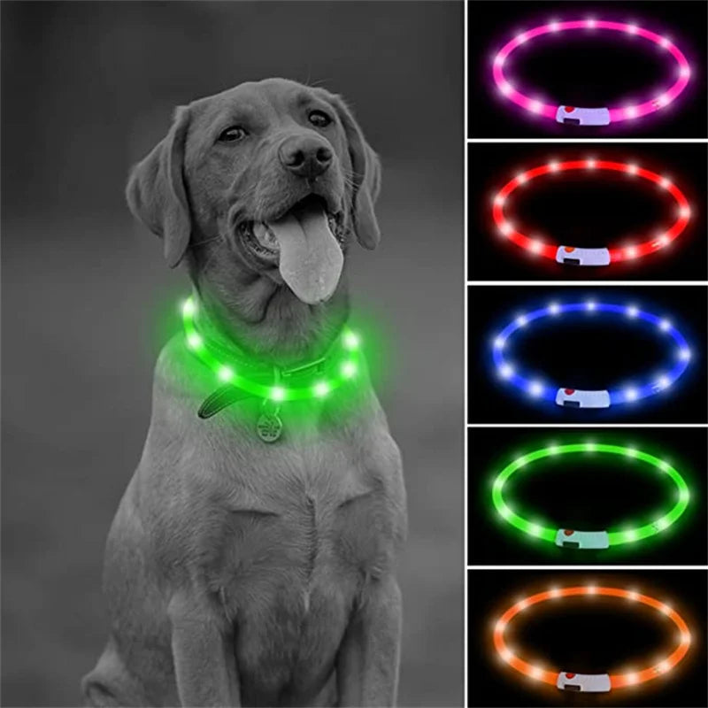USB Rechargeable Luminous Collar