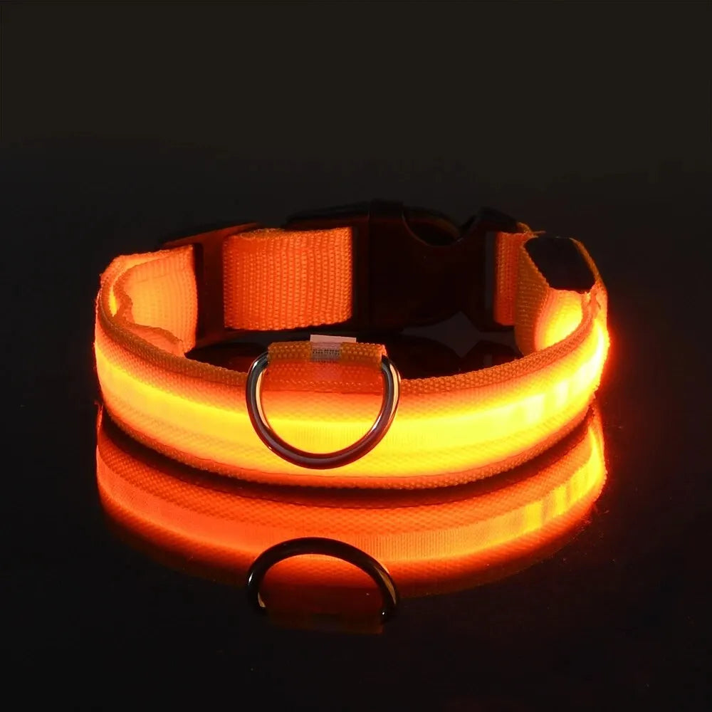 Pet Dog Collar Luminous Fluorescent