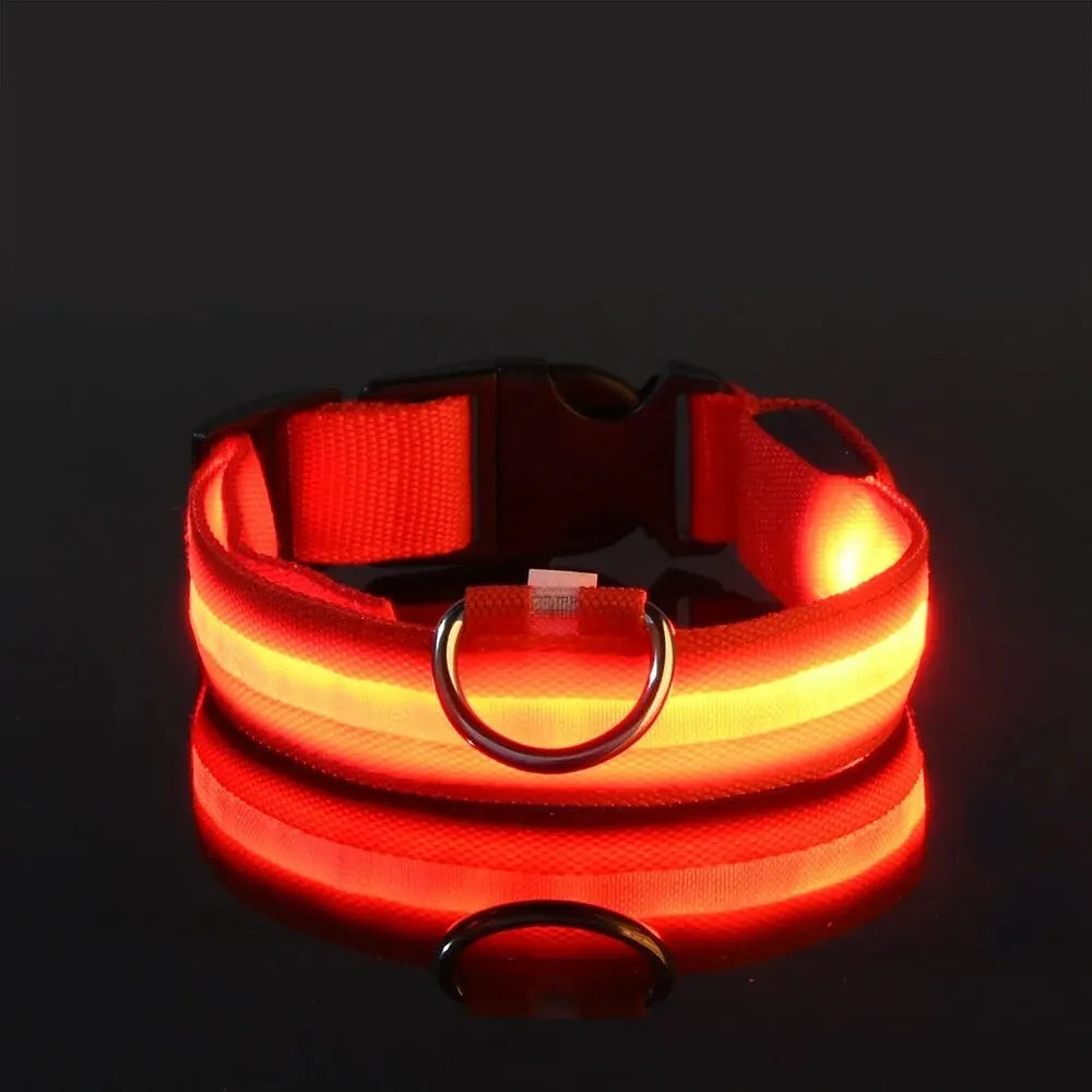Pet Dog Collar Luminous Fluorescent