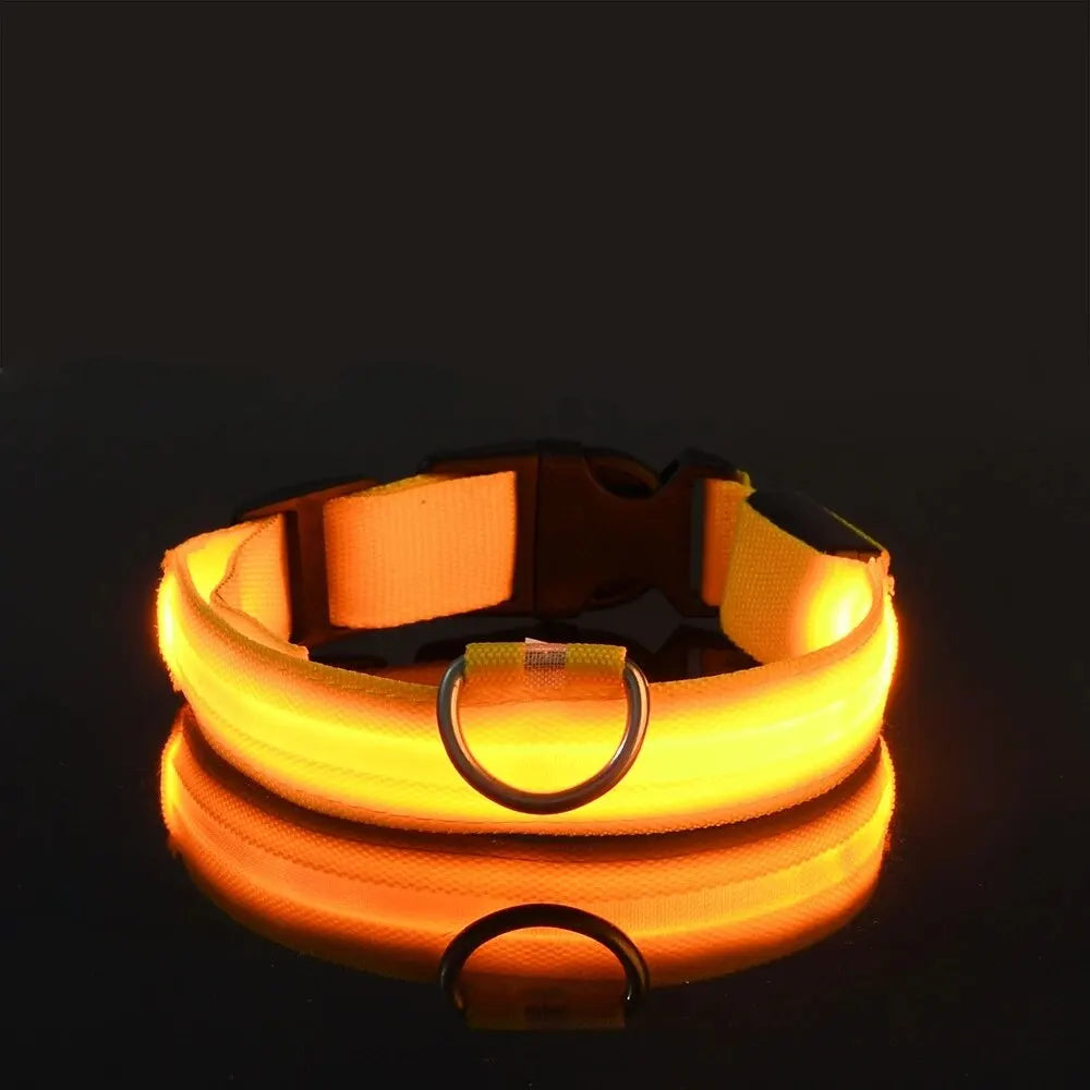 Pet Dog Collar Luminous Fluorescent